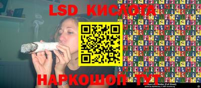 сатива Бийск