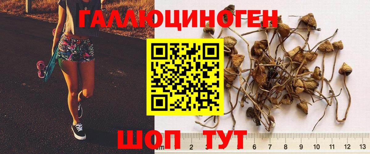 Псилоцибиновые грибы мухоморы  Каменка 