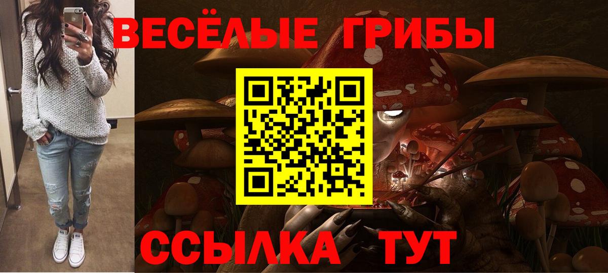 Каменка  магазин продажи   Псилоцибиновые грибы Psilocybe  Вход с VPN  Галлюциногенные грибы Psilocybine cubensis 