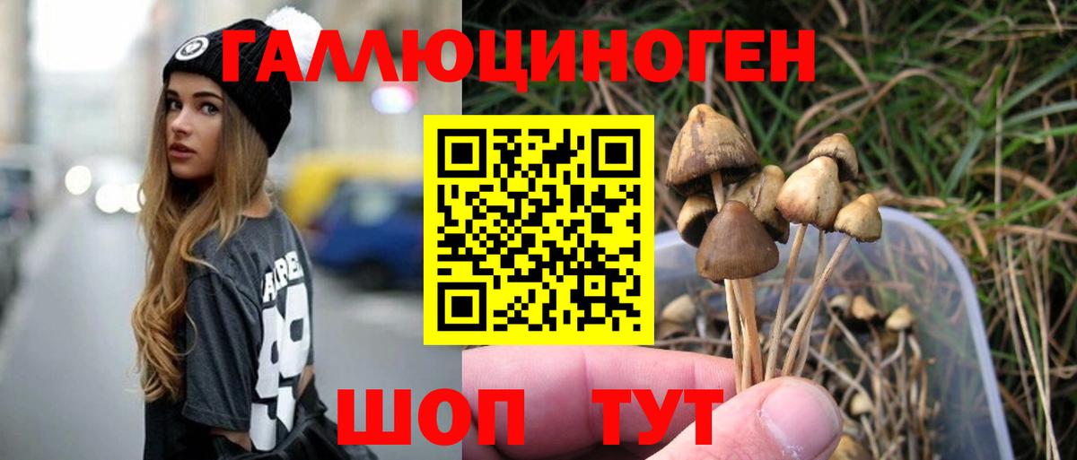 Галлюциногенные грибы прущие грибы Каменка
